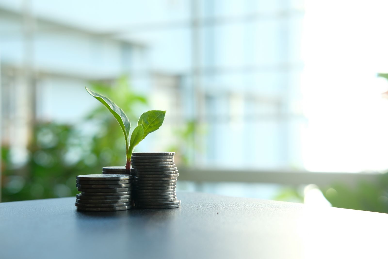 Stacks of coins with small plants growing